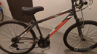 bici Mountain bike 