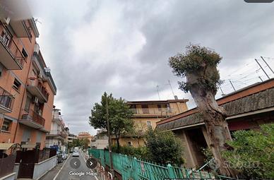 Torre maura monolocale metro c