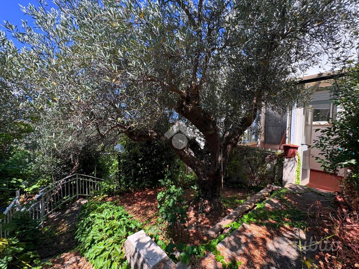 Casa – Mendicino, Muoio - Vista 4