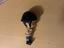 Immagine 3