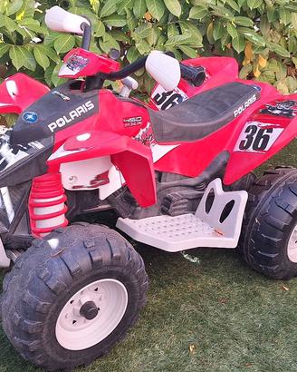 Quad elettrico polaris