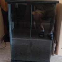 mobile tv