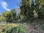 Immagine 26