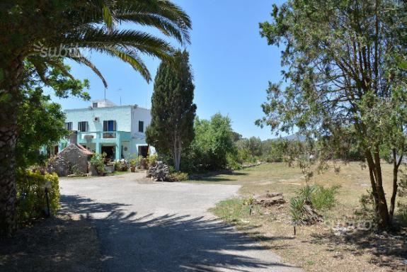 Villa - Struttura ricettiva - Parco