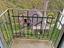 Immagine 28