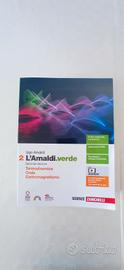 L'Amaldi. verde - Seconda edizione 
