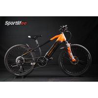 E-bike Mtb Usata Torpado Poseidon T940 24 Junior