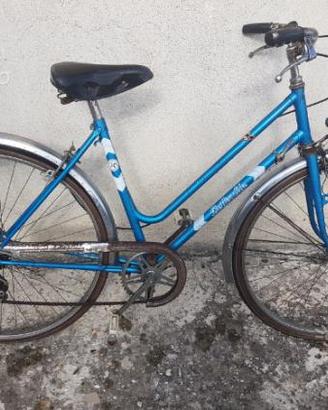 Bicicletta bottecchia d'epoca