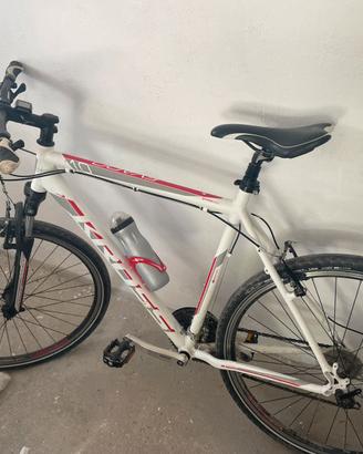 Mtb Evado 1.0 KROSS