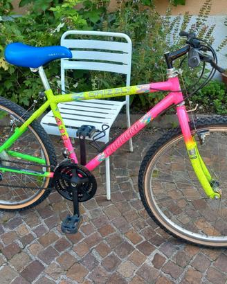 Bicicletta tipo MTB Carraro misura adulto ruote 26