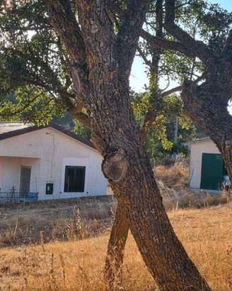 Terreno agricolo con Abitazione E annessi