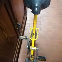 monociclo 