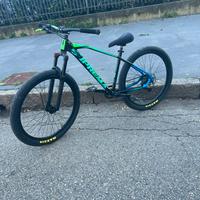 Whellie bike