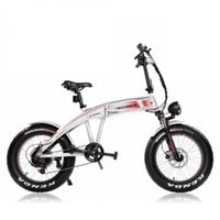 Bici elettrica TECHBIKE STORM