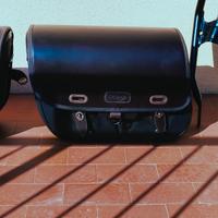 Borse originali per Triumph Street Twin 900 (2022)