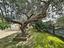 Immagine 29
