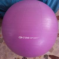 Body gym ball
