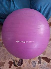 Body gym ball