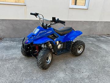 Bici quad 110cc nuovo prezzo trattabile