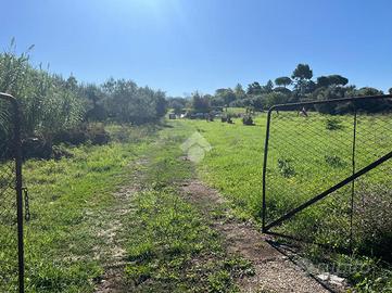TER. AGRICOLO A FRASCATI