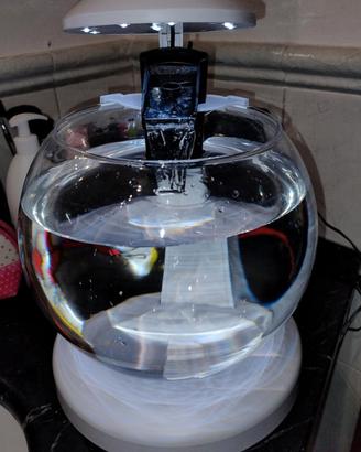 acquario tetra globe con cascata, filtro e led.
