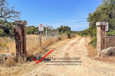 Terreno Agricolo Telti