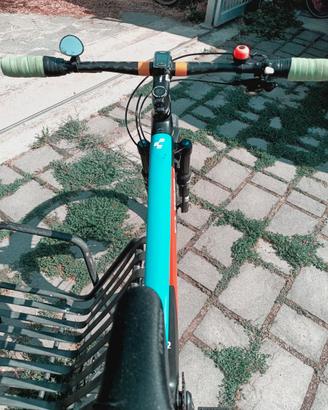 Mtb Carbonio