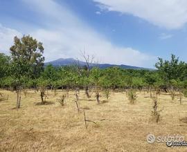 Terreno agricolo pianeggiante a Piedimonte Etneo