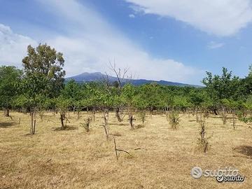 Terreno agricolo pianeggiante a Piedimonte Etneo