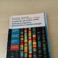 Il carbonio, gli enzimi, il DNA