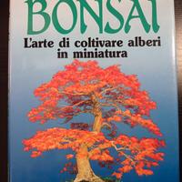 Bonsai. L'arte di coltivare alberi in miniatura.