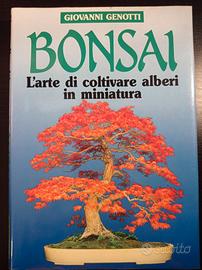 Bonsai. L'arte di coltivare alberi in miniatura.
