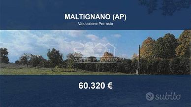 Immobile in asta di 7944 m² a Maltignano