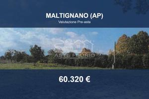 Immobile in asta di 7944 m² a Maltignano