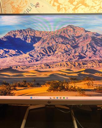 Monitor HP 24F