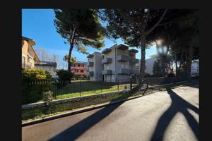 Cervia mare