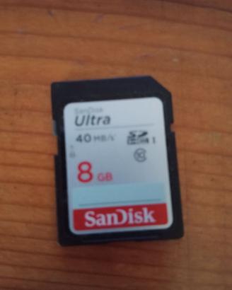 Sandisk 8 GB ultra