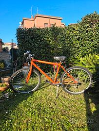 Bicicletta MTB Musso Arancione 26 usata poco 