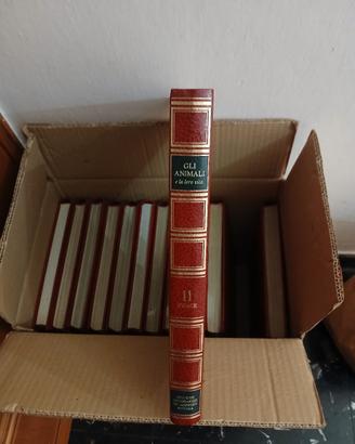 enciclopedia degli animali 