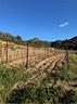 terreno-agricolo-a-monti