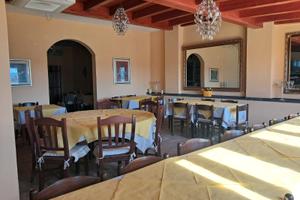 Rinomata pizzeria (Frank's pizza)