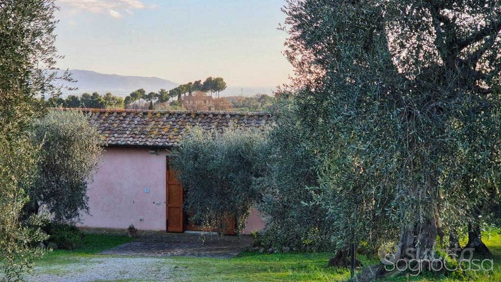 Rustico / Casale di 129 m² con 3 locali e box auto - Vista 3