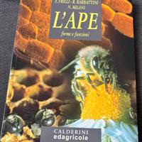 L’ape forme e funzioni