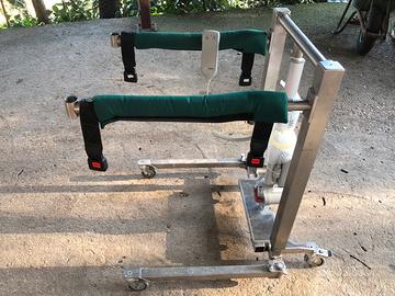 Sollevatore per disabili