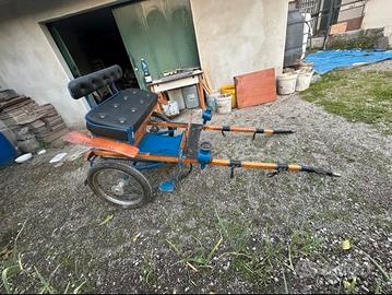 Calesse per mini pony