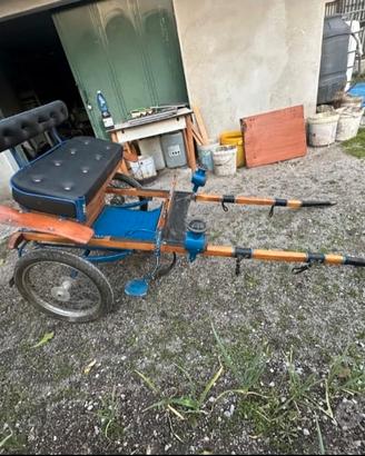 Calesse per mini pony