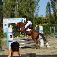 Cavalla PSI da salto - 9 anni