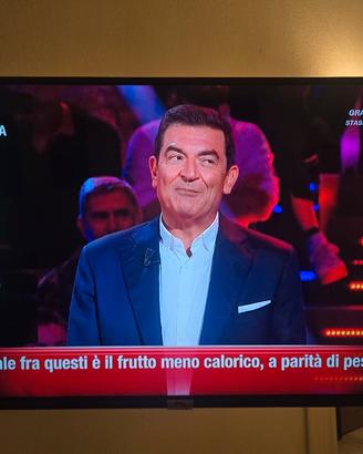tv tcl 43 pollici