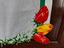 Immagine 1