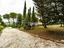 Immagine 7